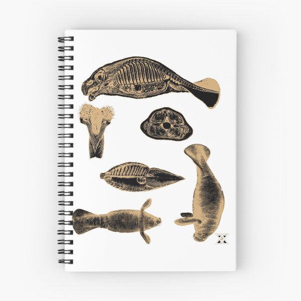 Item preview, Manatee - Natural History Marine Mammal Illustration designed and sold by encyclo-art.