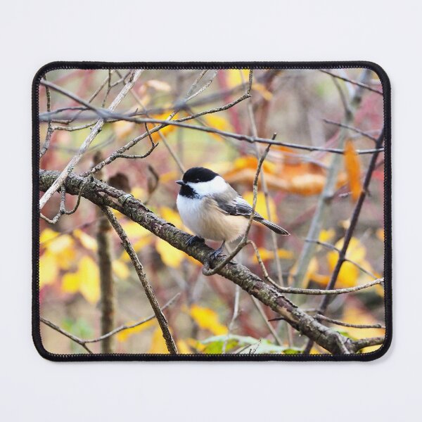 Item preview, Black-capped Chickadee Perched On A Branch designed and sold by BackyardBirder.