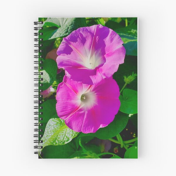 Item preview, glorias de la mañana designed and sold by AcelaRB.