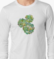 Rosetten Sukkulenten - Grüne Palette Langarmshirt