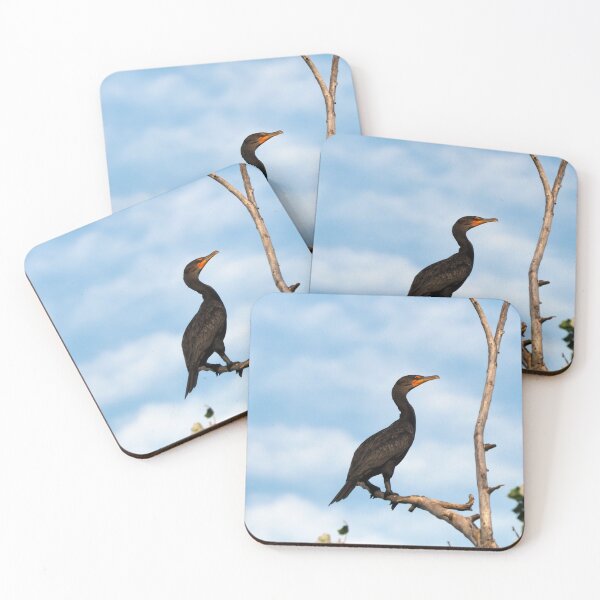 Item preview, Double-crested Cormorant Perched On a Tree Branch designed and sold by BackyardBirder.