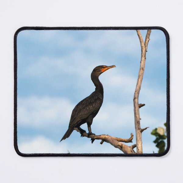 Item preview, Double-crested Cormorant Perched On a Tree Branch designed and sold by BackyardBirder.