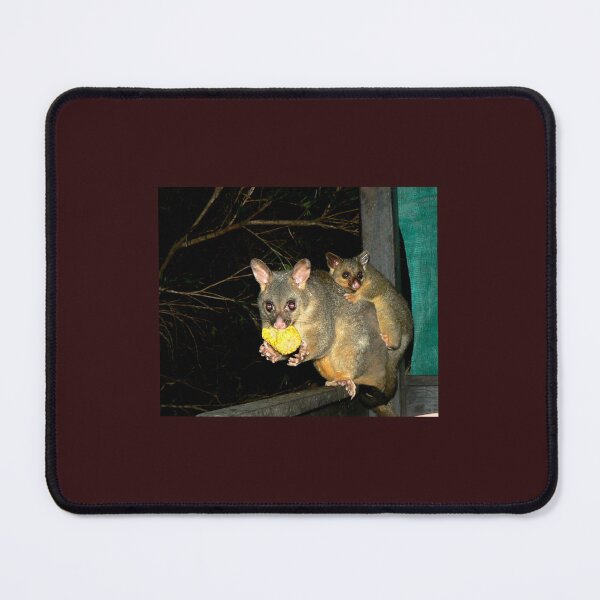Item preview, Brushtail Possum and Baby designed and sold by ginnymac.