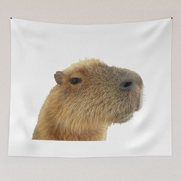 Item preview, ok  i pull up Capybara  classic designed and sold by ArtByMigdad.