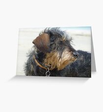 Daisy the Dachshund on a Cornish Beach Greeting Card