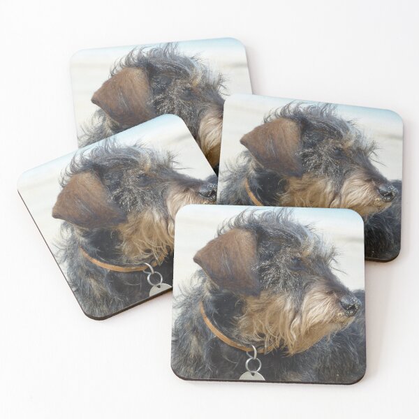 Item preview, Daisy the Dachshund on a Cornish Beach designed and sold by niki2028.