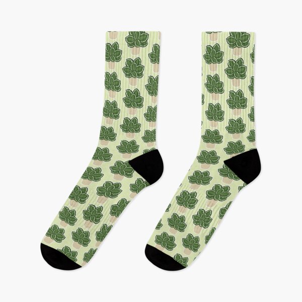Item preview, Planta de calathea en maceta designed and sold by Madeleine Hogue.