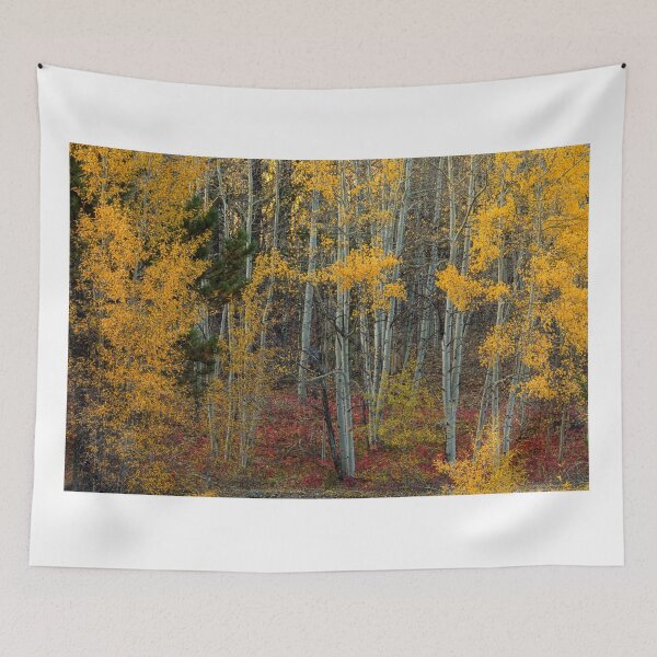 Item preview, Red Forest Floor designed and sold by Bo Insogna.