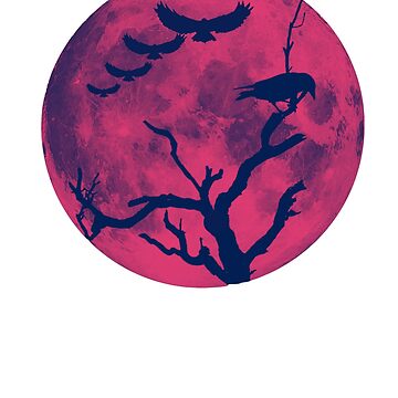 Artwork thumbnail, raven by zubiaqureshi