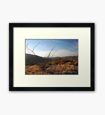 Sonoran Sundown Framed Print