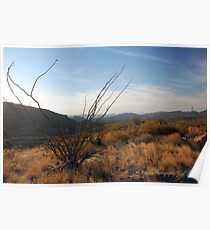 Sonoran Sundown Poster