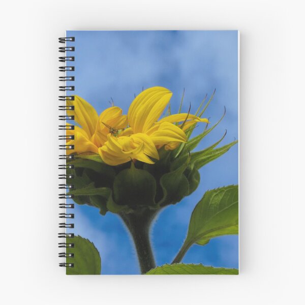 Item preview, Soft Landing designed and sold by Barry W  King.