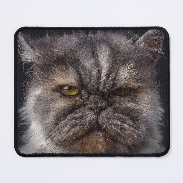 Item preview, Wise Cat designed and sold by MorningFive.