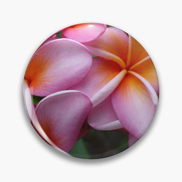 Item preview, Fabulous Tropical Pink Frangipani  designed and sold by ginnymac.