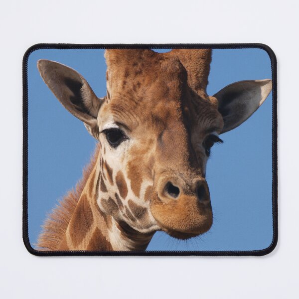 Item preview, Giraffe number one designed and sold by ginnymac.