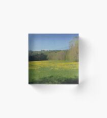 Dandelion Field Acrylic Block