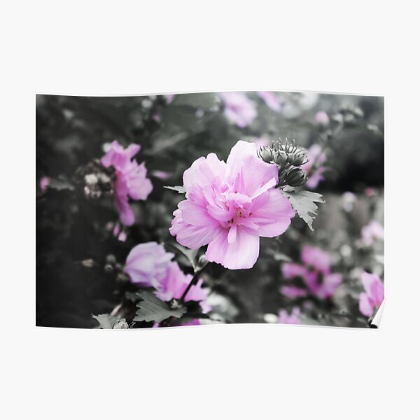 Black And Purple Wall Art Redbubble