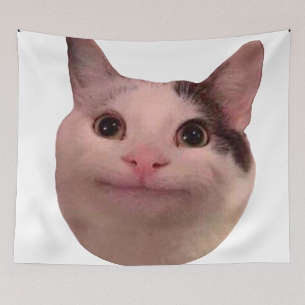 Item preview, Memes cat olli designed and sold by BallyX.