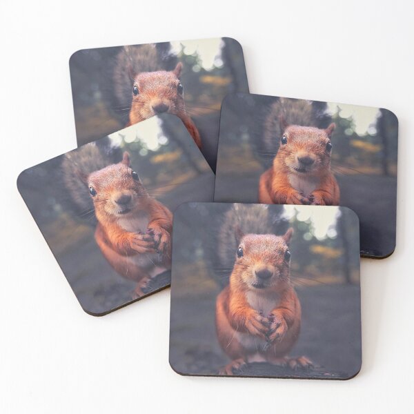 Item preview, Cute Squirrel designed and sold by MorningFive.