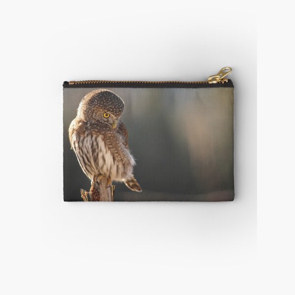 Item preview, Pygmy Owl 2 designed and sold by Tracy Friesen.