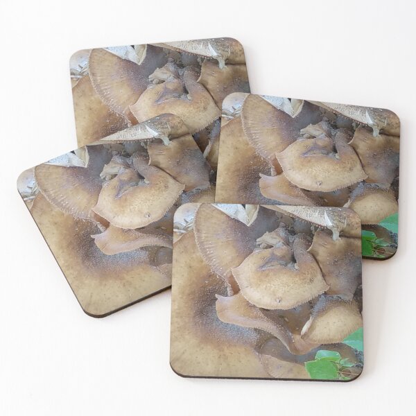 Item preview, Abstract of Wild Mushroom designed and sold by allthingsnatura.