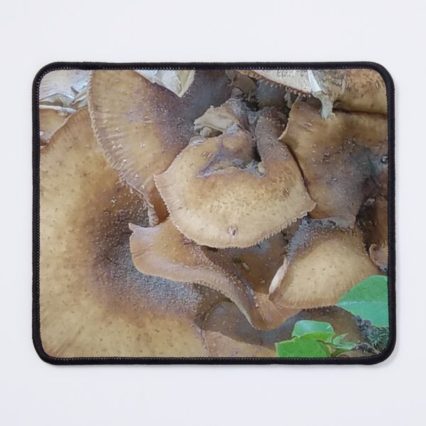 Item preview, Abstract of Wild Mushroom designed and sold by allthingsnatura.