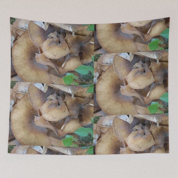 Item preview, Abstract of Wild Mushroom designed and sold by allthingsnatura.
