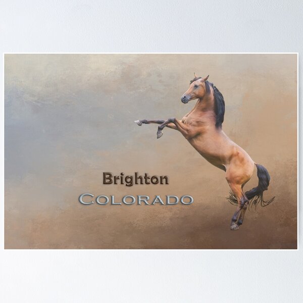 Item preview, Mustang  Brighton Colorado designed and sold by Elisabeth Lucas.