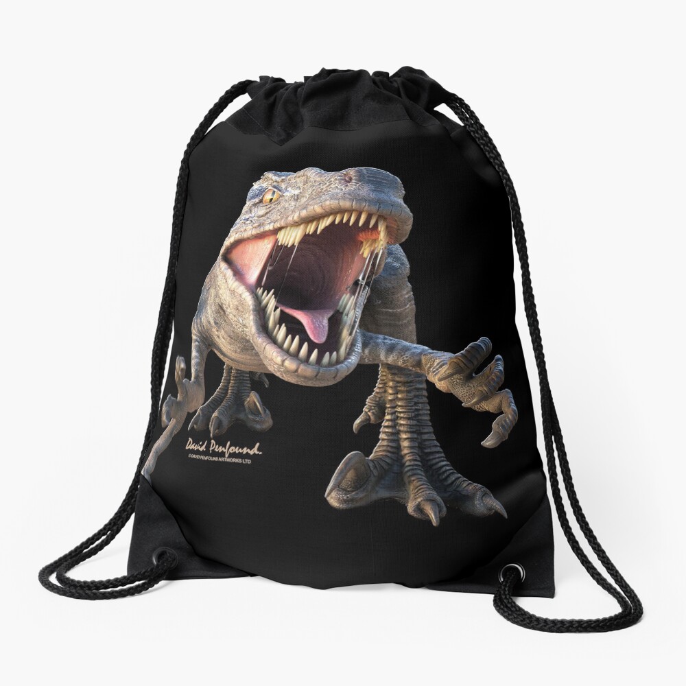 Raptor Drawstring Bag