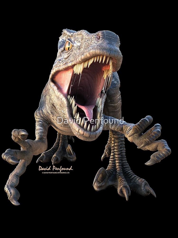 Raptor by DavidPenfound