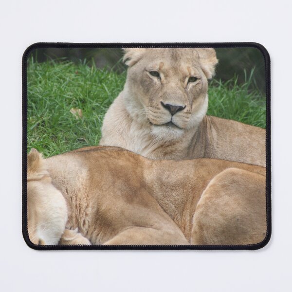 Item preview, Sisters designed and sold by Leanne Davis.