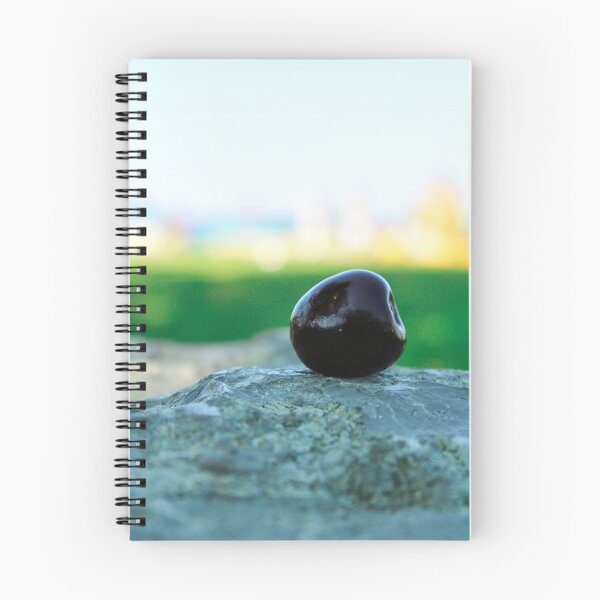 Item preview, Cherry On A Rock at The National Cherry Festival - Traverse City, Michigan - Clinch Park Beach designed and sold by S S Photography.