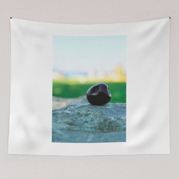 Item preview, Cherry On A Rock at The National Cherry Festival - Traverse City, Michigan - Clinch Park Beach designed and sold by S S Photography.