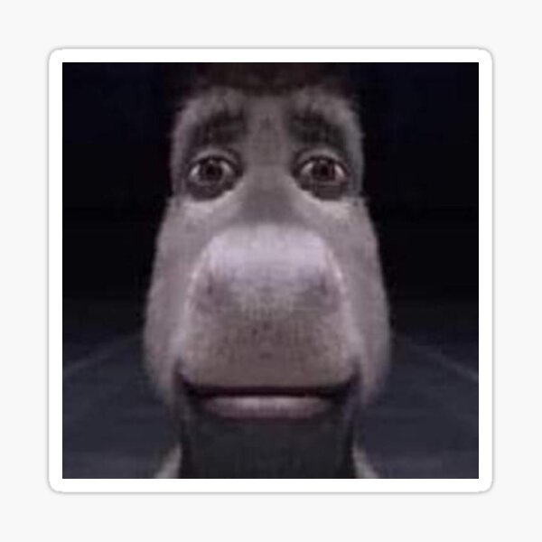 meme-burro-shrek