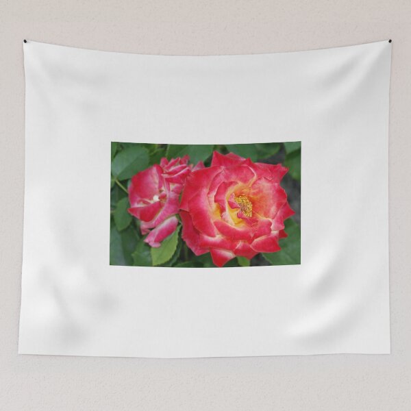 Item preview, Beautiful roses on nature background designed and sold by olena2552.