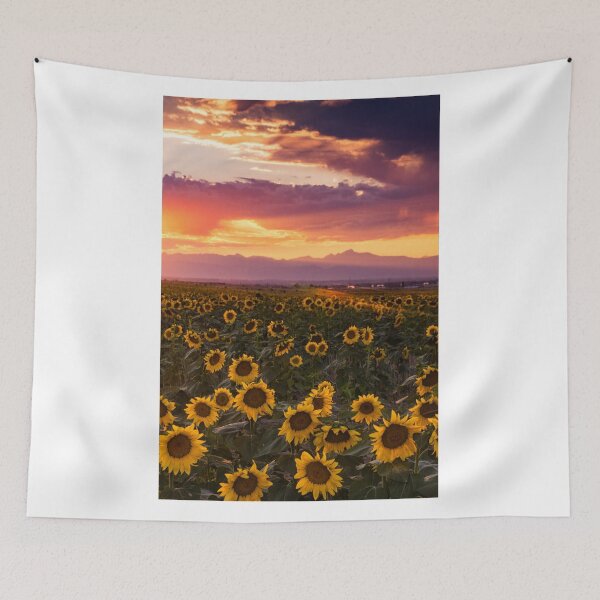 Item preview, A Colorado Evening Sky designed and sold by John  De Bord Photography.