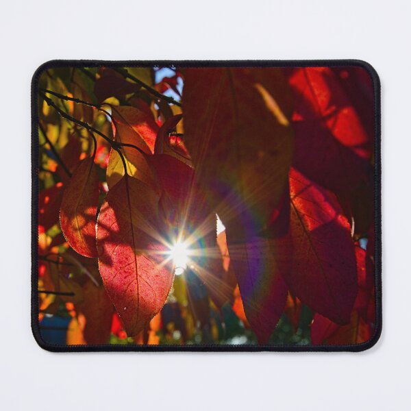 Item preview, Sun Star designed and sold by Brad Chambers.