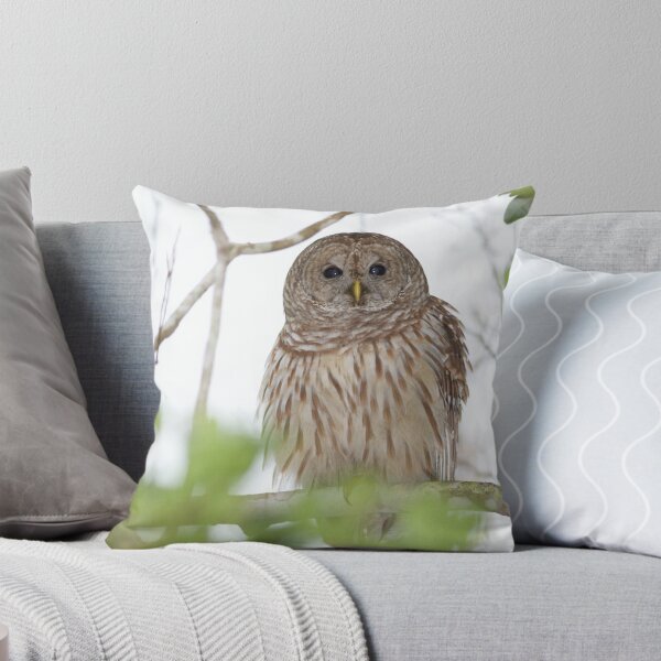 Item preview, A Barred visitor to my backyard designed and sold by jvoweaver.