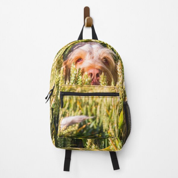 Item preview, Hiding in the Wheat Spinone designed and sold by FOLK ART FUSION by heidiannemorris.