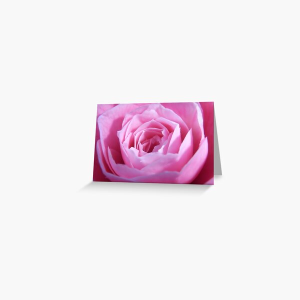 Camelia Greeting Card