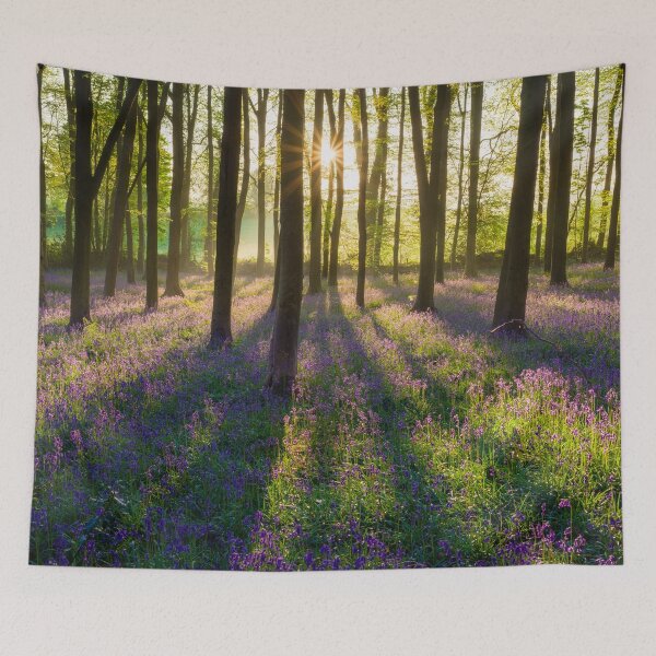 Item preview, Bluebell Wood Sunrise designed and sold by Craig Joiner.