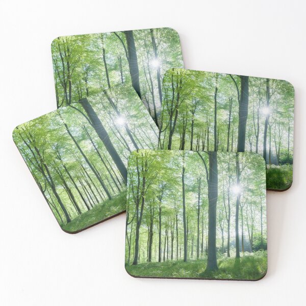 Item preview, Beech Woodland Morning Sunlight designed and sold by Craig Joiner.