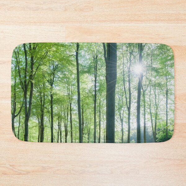 Item preview, Beech Woodland Morning Sunlight designed and sold by Craig Joiner.