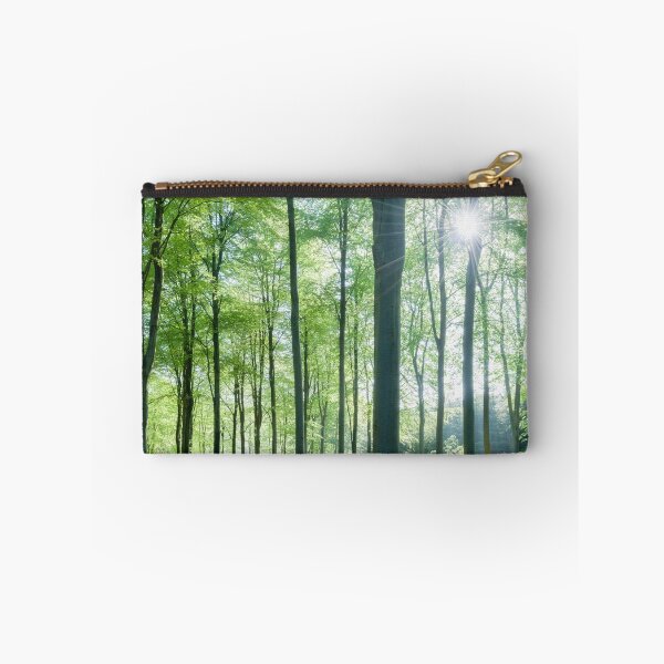 Item preview, Beech Woodland Morning Sunlight designed and sold by Craig Joiner.