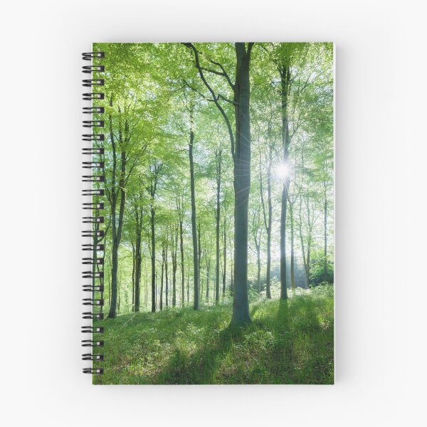 Item preview, Beech Woodland Morning Sunlight designed and sold by Craig Joiner.