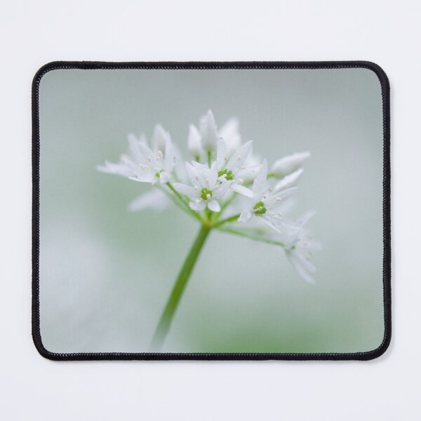 Item preview, Wild Garlic Flowers Closeup designed and sold by Craig Joiner.