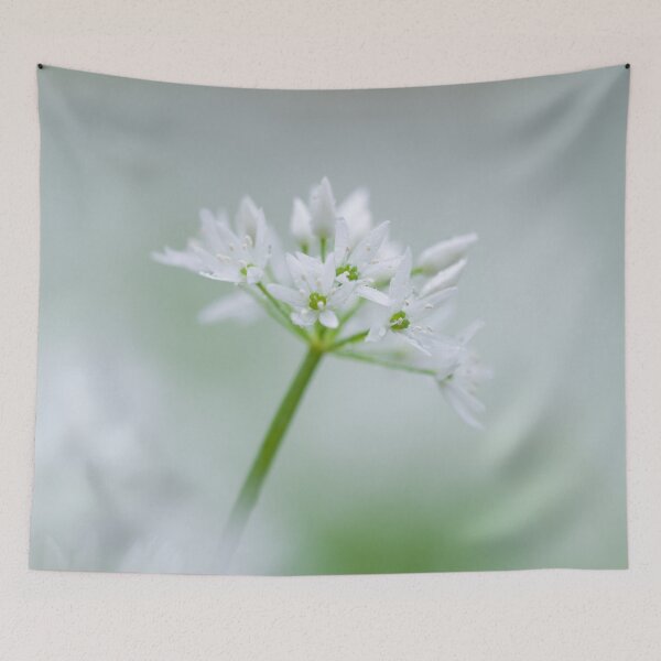 Item preview, Wild Garlic Flowers Closeup designed and sold by Craig Joiner.