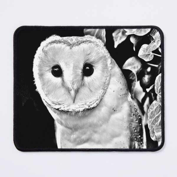 Item preview, Barn Owl in Black and White designed and sold by Dalyndigital Photography.