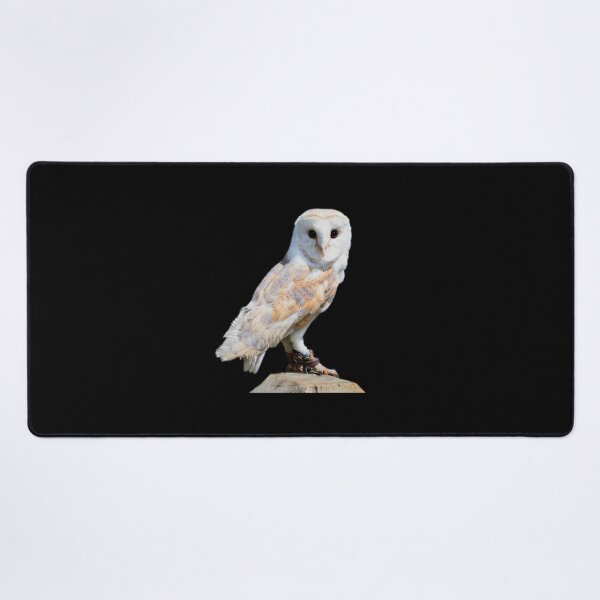 Item preview, Barn owl on a fence post designed and sold by Dalyndigital Photography.
