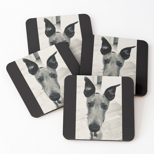 Item preview, Ernie the whippet looking curiously at the camera  designed and sold by MeluCrochet.